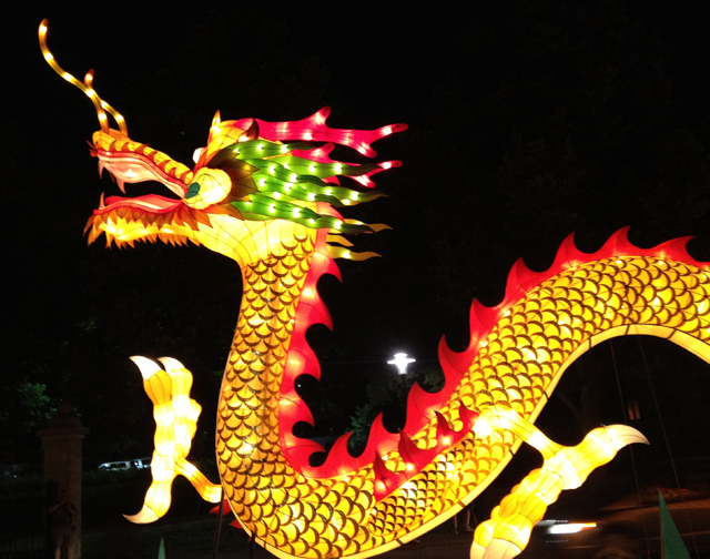 This Week in the Garden -Ginormous Chinese Lantern Festival ...