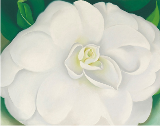 Georgia-okeefe-a-white-camellia-blog